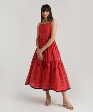 PALOMA